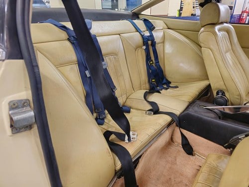 Ferrari 365 GTC 4 (11)