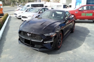 2019 Ford Mustang 2,3l EcoBoost